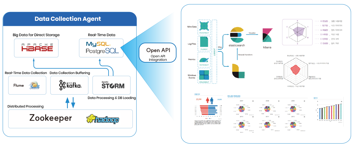 Big Data Visualization Platform